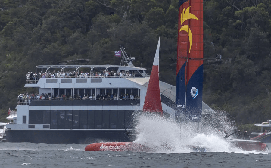 Official Spectator Boat - Platinum (Clearview)