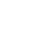 Partners