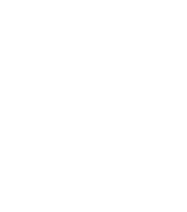 Partners