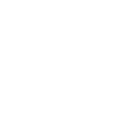 Partners